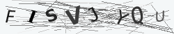 Captcha Image Verification